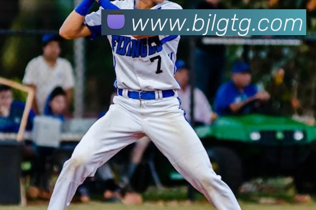 百家乐网站发展历程